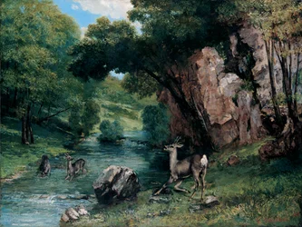Chevreuil à un ruisseau